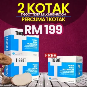 Set super saver ​( 2 KOTAK )