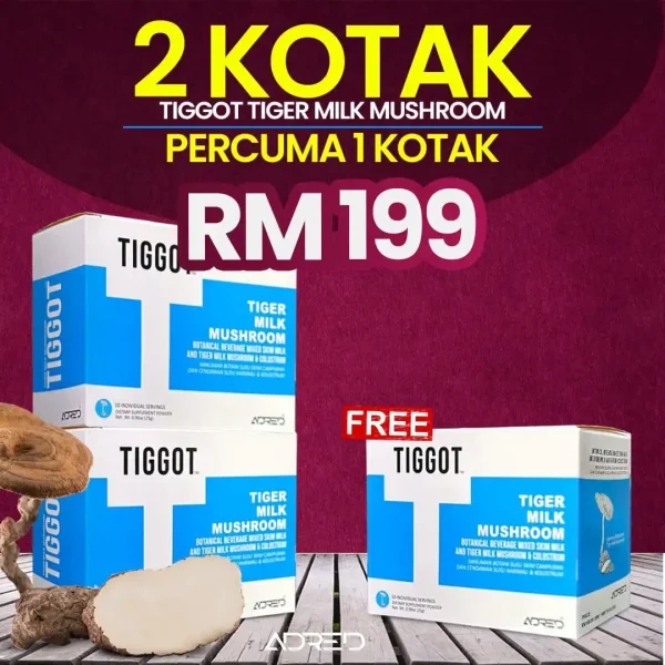 Set super saver ​( 2 KOTAK )